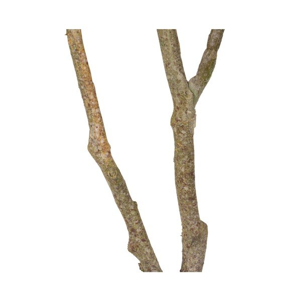 Umjetna biljka (visina 116 cm) Oak Tree – Ixia-image-4
