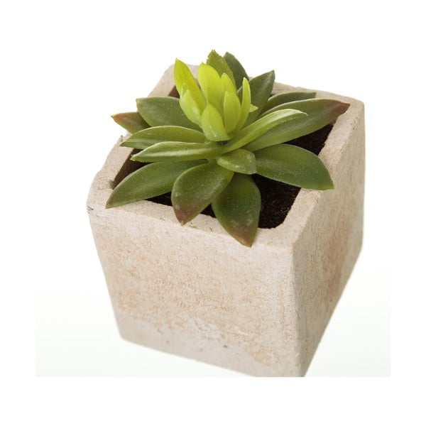 Umjetne biljke u setu 6 kom (visina 9,5 cm) Cactus – Casa Selección-image-1