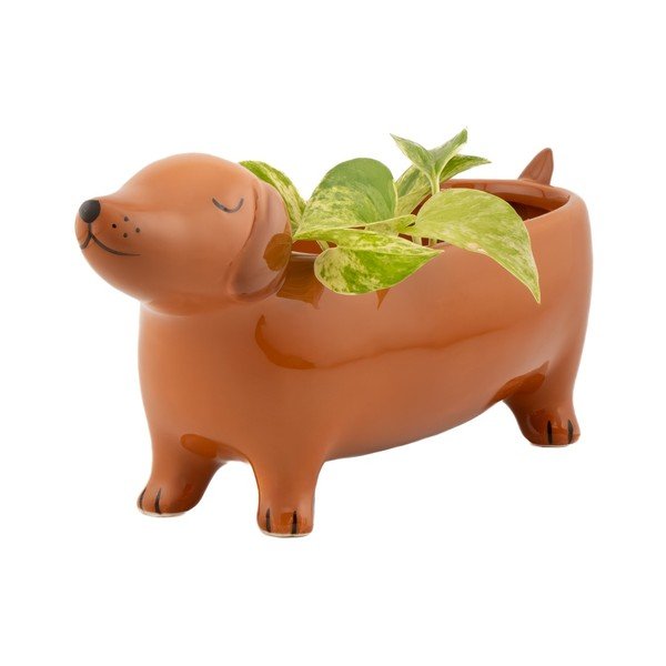 Keramička ukrasna tegla za cvijeće Sausage Dog – Sass & Belle-image-4