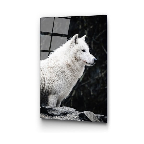 Staklena slika 70x100 cm White Wolf - Wallity-image-4