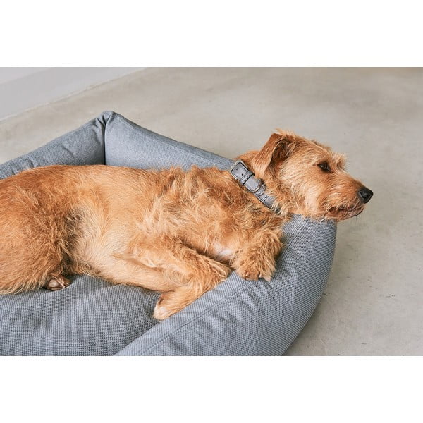 Sivi krevet za pse 71x91 cm Mare Rock M – MiaCara-image-2
