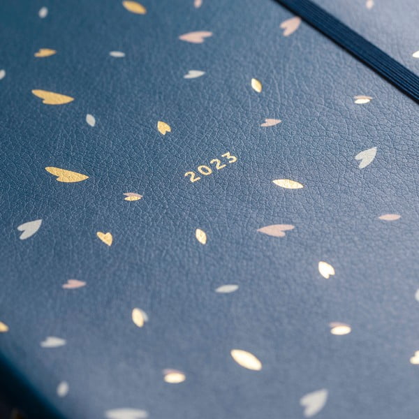 Dnevnik - Busy B-image-1