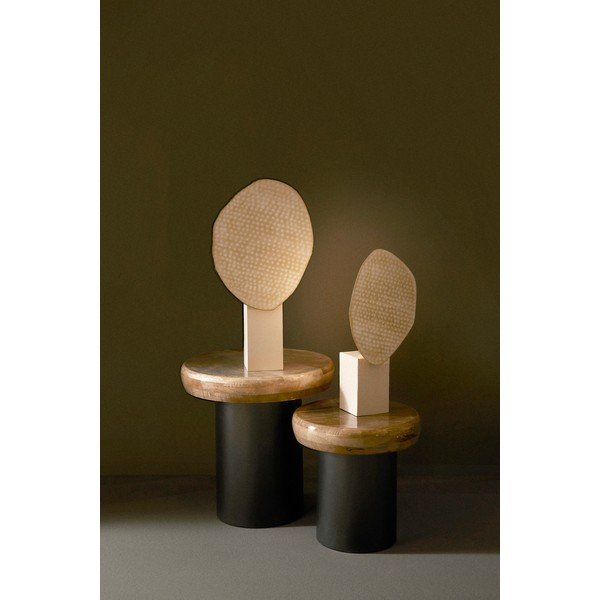 Bež metalna stolna lampa s metalnim sjenilom (visina 46 cm) Neev – Bizzotto-image-1