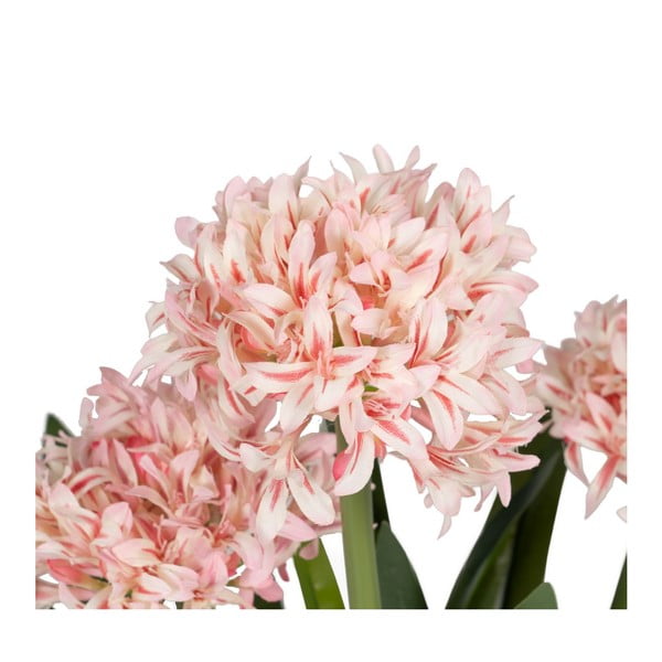 Umjetna biljka (visina 100 cm) Hyacinth – Ixia-image-1