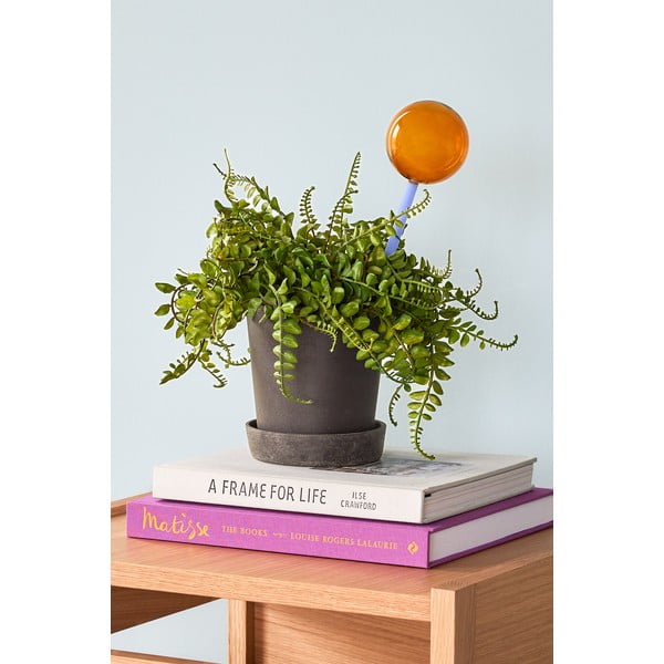 Plavo-smeđa staklena kugla za zalijevanje Flora - Hübsch-image-3