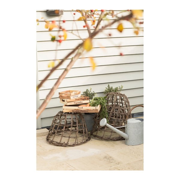 Posuda za sol i papar od drveta bagrema T&G Woodware Glorious-image-2