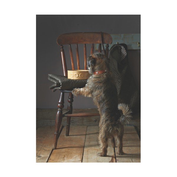 Zdjela od kamenine za pse Mason Cash Dog Cane, ø 25 cm-image-4