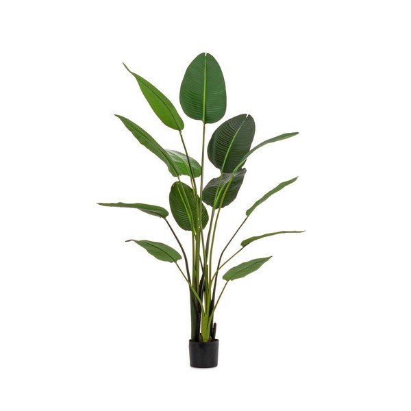 Umjetna biljka (visina 185 cm) Sterilizia – Bizzotto