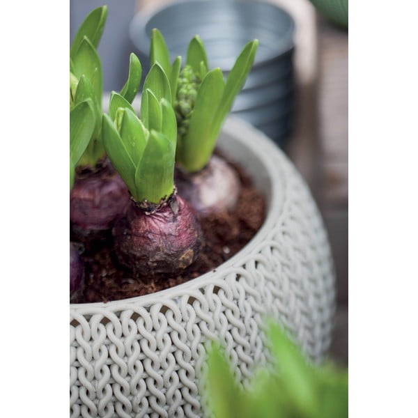 Plastična viseća i zidna posuda za cvijeće ø 36 cm Cozy – Keter-image-1