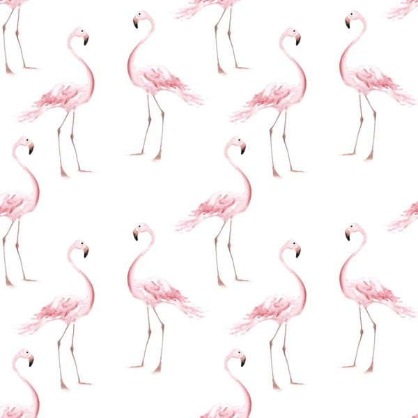 Dekornik tapeta Flamingos, 50 x 280 cm