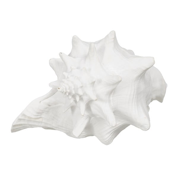 Kipić od polyresina (visina 13 cm) Seashell – Ixia