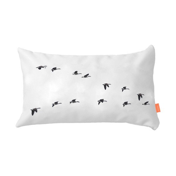 Set od 2 pamučne jastučnice Blanc Trip-image-4