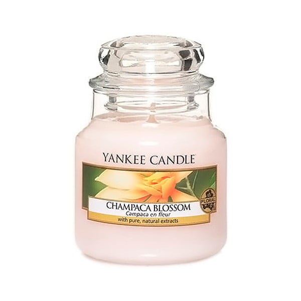 Yankee Candle Magnolia Champaca cvijet, vrijeme gorenja 25 - 40 sati