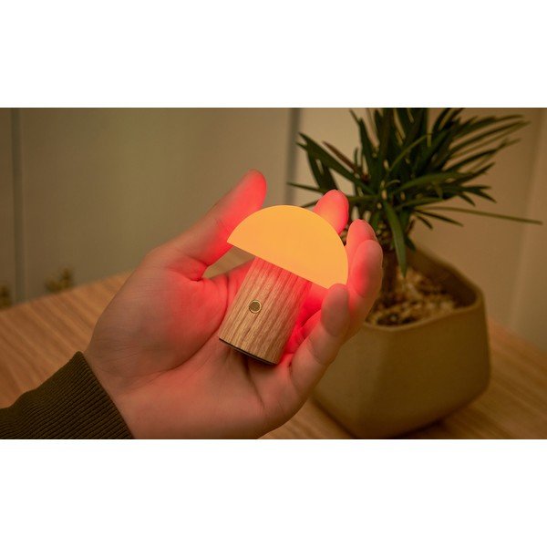 LED stolna lampa od čvrste jeseni s mogućnosti zatamnjivanja u prirodnoj boji (visina 7 cm) Alice – Gingko-image-4