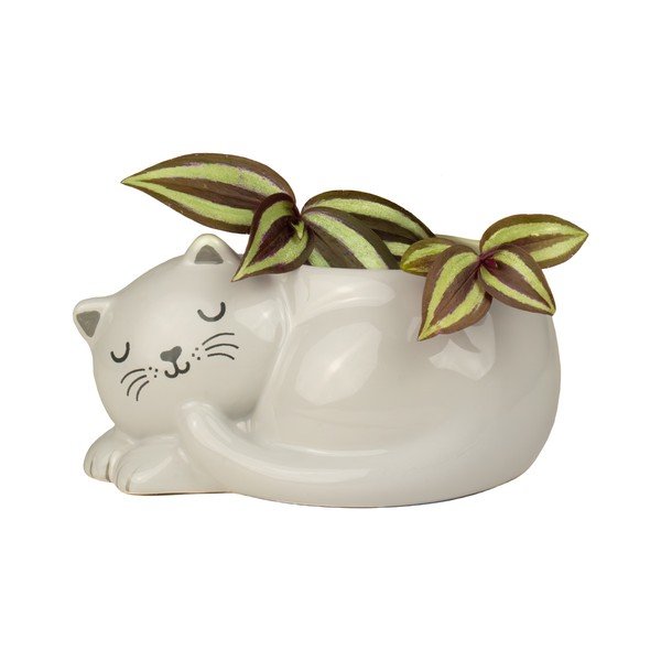 Keramička ukrasna tegla za cvijeće Sleeping Cat – Sass & Belle-image-1