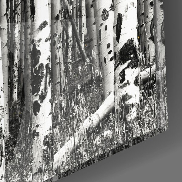 Staklena slika insigne žuta šuma, 110 x 70 cm-image-2