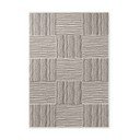 Crni/krem unutarnji i vanjski tepih 200x300 cm Haringey Nightingale – Ted Baker
