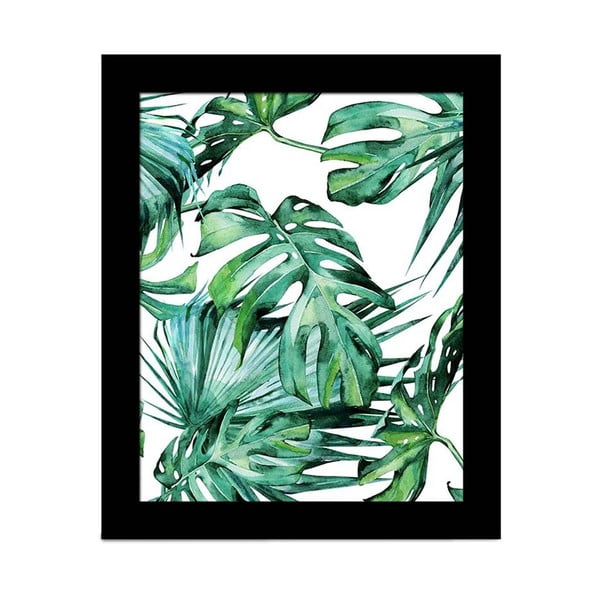 Slika Alpyros Jungle, 23 x 28 cm