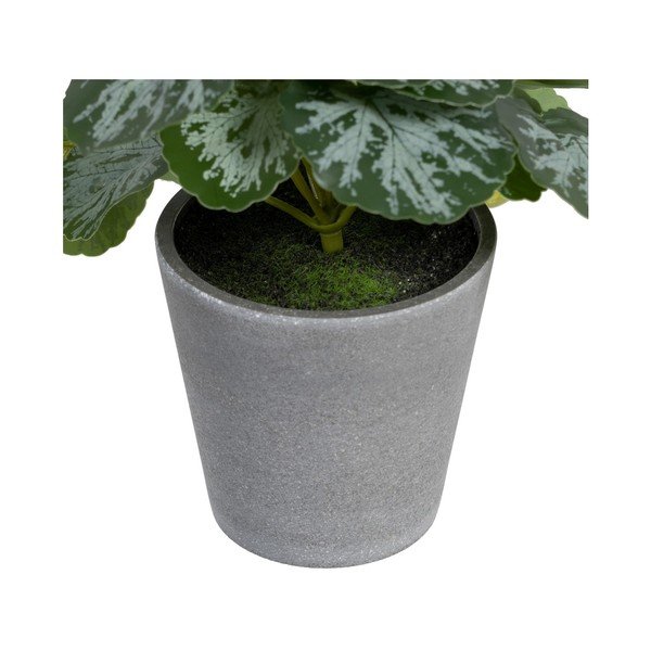 Umjetna biljka (visina 21,5 cm) Saxifraga – Ixia-image-2