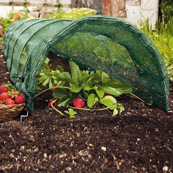 Vrtna deka – Garden Pleasure-image-1