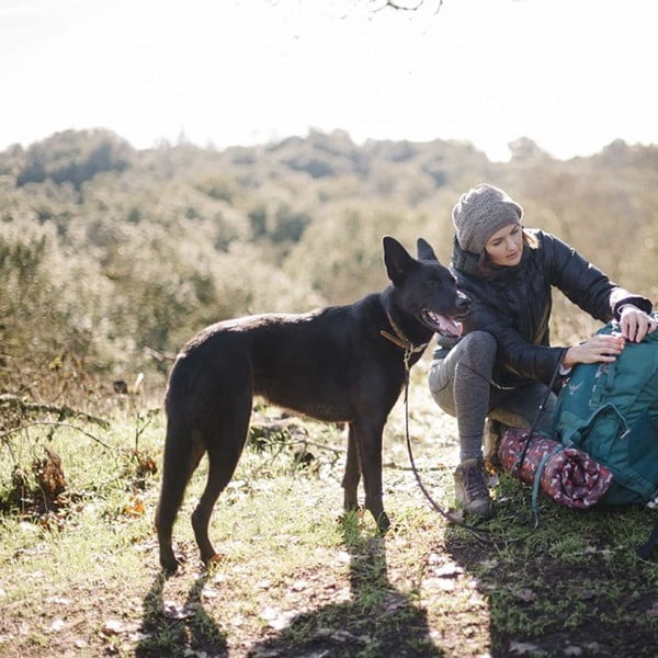 Smeđi putni krevetić za pse 45x60 cm Outdoor Chill Pad Mocha S – P.L.A.Y.-image-2