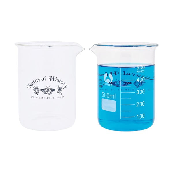 Staklena vaza (visina 12 cm) Natural History – Esschert Design-image-4