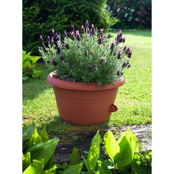 Smeđa samonavodnjavajuća tegla Plastia Siesta, ø 25 cm-image-1