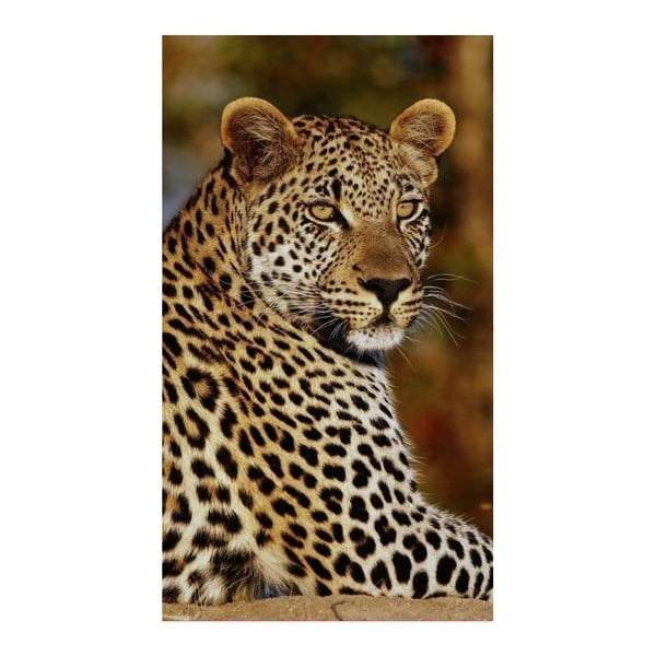 Ručnik za plažu s printom Good Morning Leopard, 100 x 180 cm