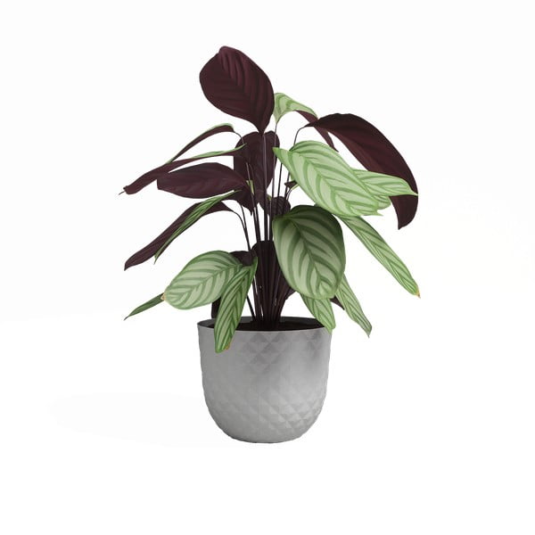 Tegla za cvijeće od reciklirane plastike ø 20 cm Havana – Artevasi-image-2