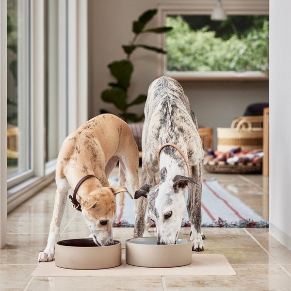 Keramička zdjela za hranu za ljubimce za pse ø 17 cm Sia – OYOY Living Design-image-3