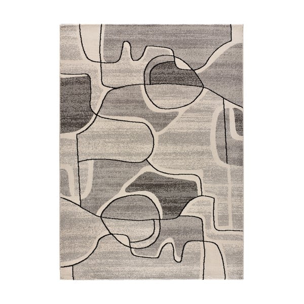 Sivo-krem tepih 120x170 cm Ashley - Universal