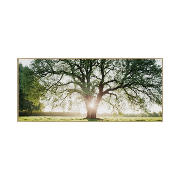 Slika 150x60 cm Tree in the Sun – knor
