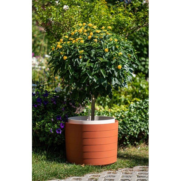 Smeđecrvena samonavodnjavajuća tegla Plastia Berberis, ø 55 cm-image-1