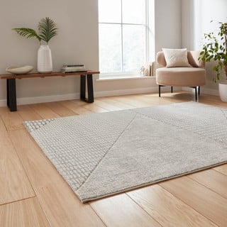 Svijetlo sivi tepih 120x170 cm Larsson – Catherine Lansfield