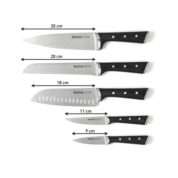 Blok noževa sa 5 noževa Ice Force - Tefal-image-1