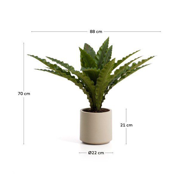 Umjetni sukulent (visina 70 cm) Neottopteris – Kave Home-image-4