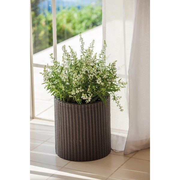 Plastična posuda za cvijeće ø 28 cm Cylinder – Keter-image-1