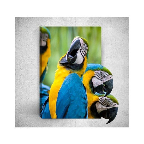 Zidna 3D slika Mosticx Papige, 40 x 60 cm