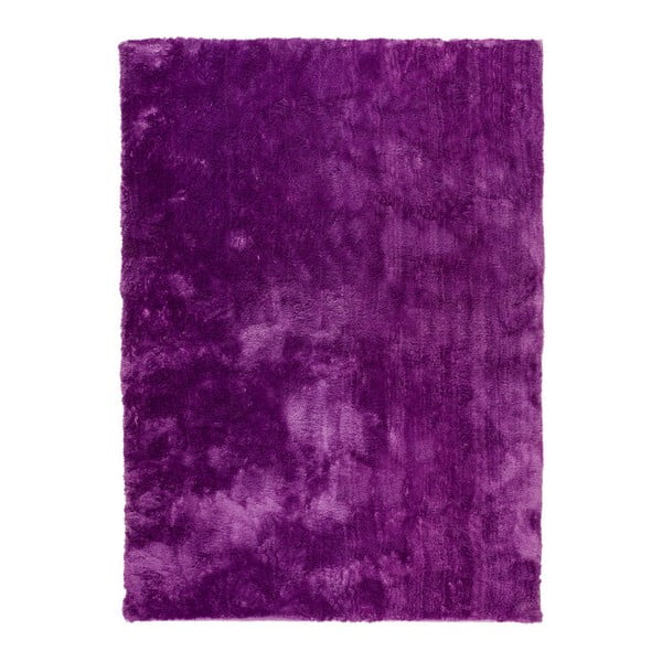 Taftani tepih Universal Nepal Violet, 200 x 290 cm