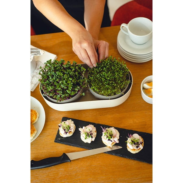 Set posuda za klijanje Velká farma Microgreens & Regrow - Plastia-image-3