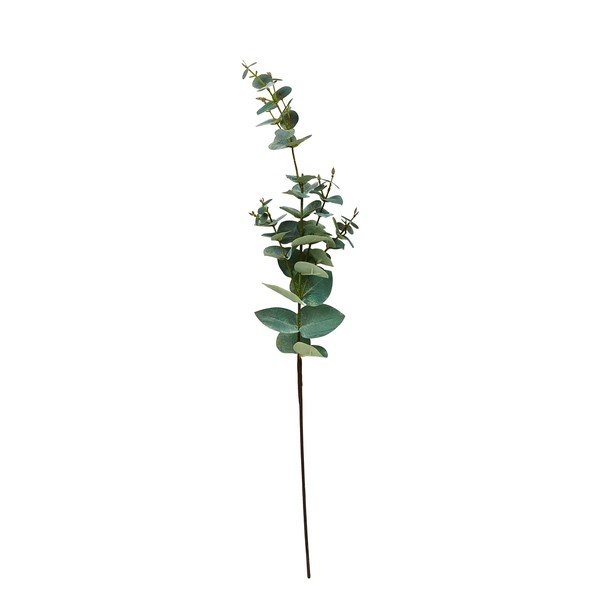Umjetni eukaliptus (visina 71 cm) Kvist – Villa Collection
