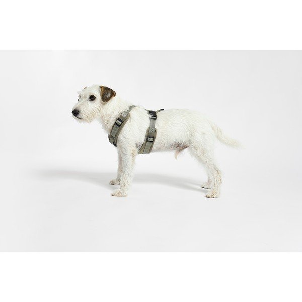 Zeleni uprtač S dužina 30 cm Modena Grolive S – MiaCara-image-1