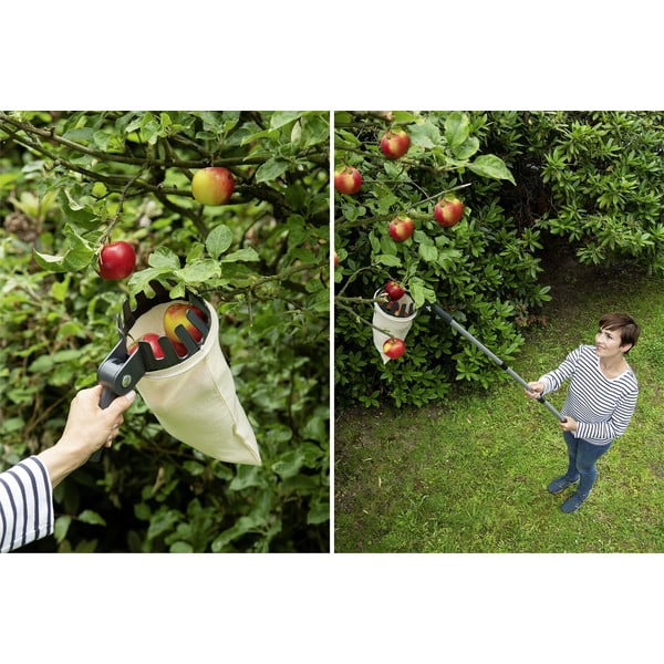 Teleskopski berač voća - Maximex-image-1