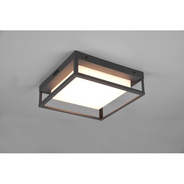 LED vanjska zidna lampa (visina 10 cm) Witham - Trio-image-2