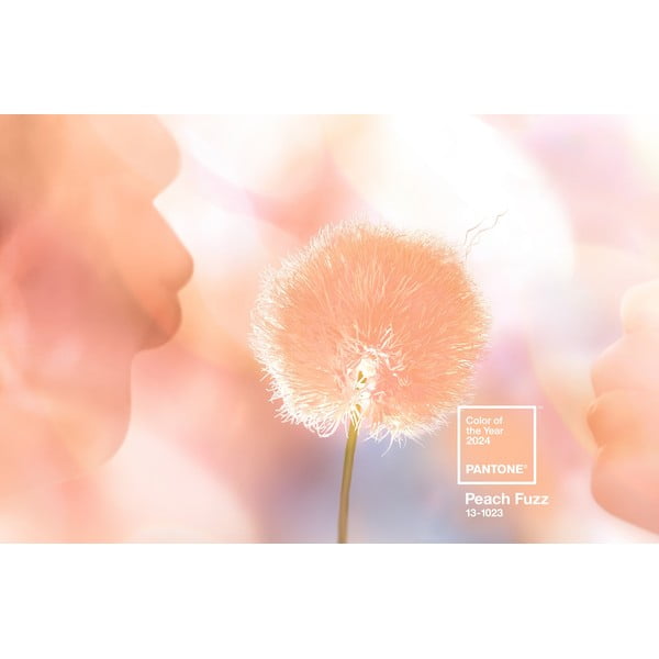 Narančasta keramička šalica za espresso 120 ml Peach Fuzz 13-1023 – Pantone-image-2