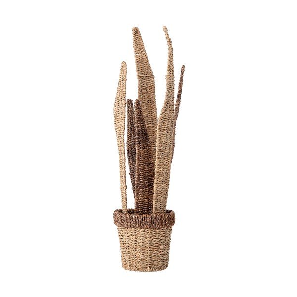 Prirodni ukras Bloomingville Plants-image-2