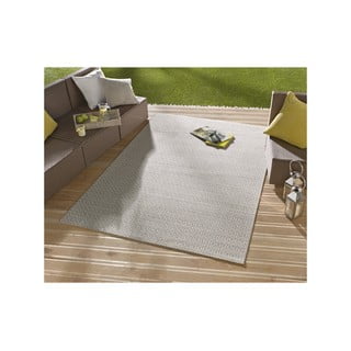 Sivi vanjski tepih NORTHRUGS Coin, 200 x 290 cm