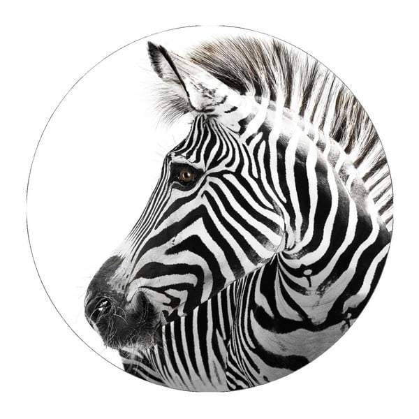 Zidni ukras Styler Ring Zebra, ø 70 cm