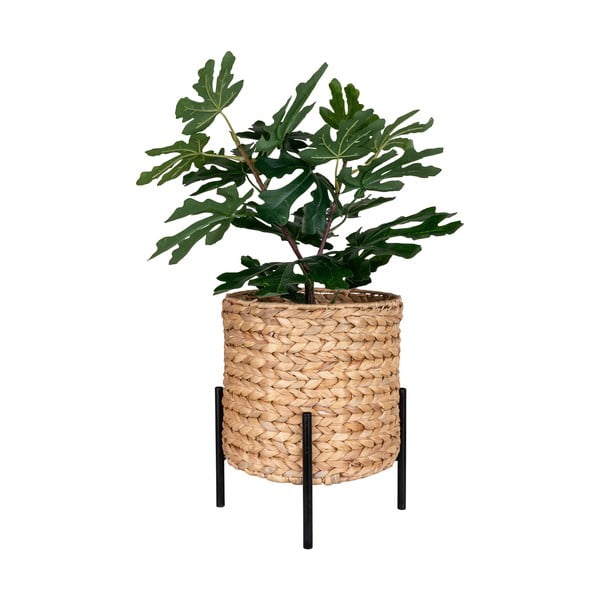 Posuda za cvijeće od vodenog zumbula ø 26,5 cm Antas – House Nordic-image-3