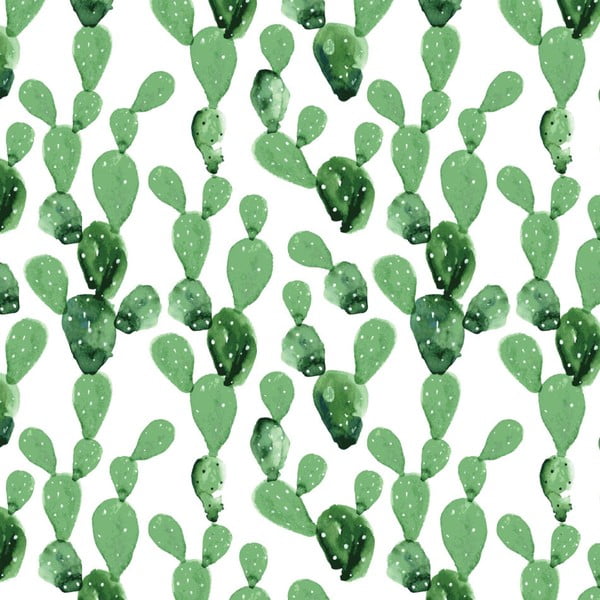 Dekornik Cactus tapeta, 50 x 280 cm
